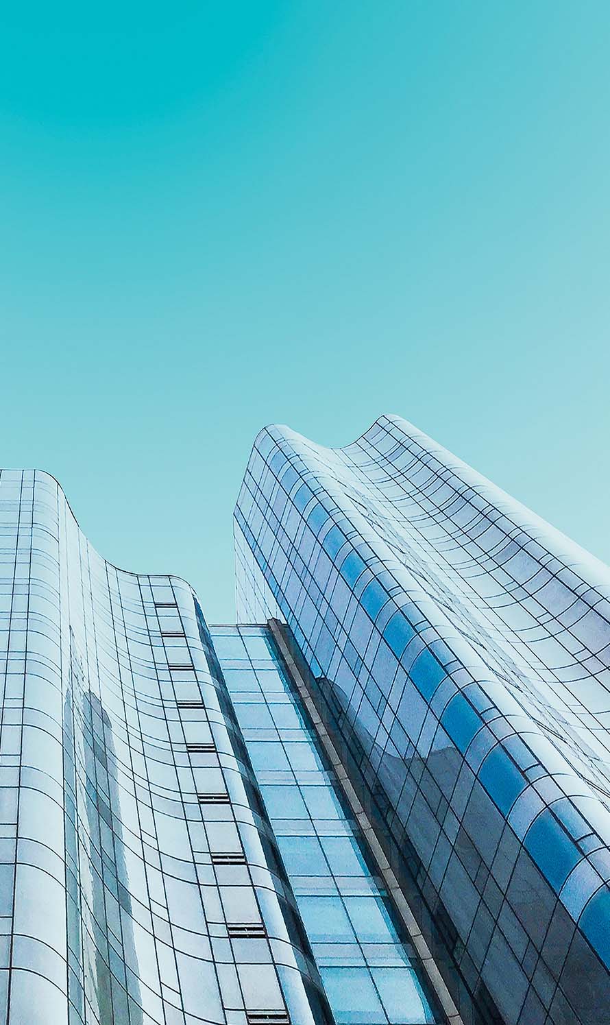 Bestor Architecture - fifa